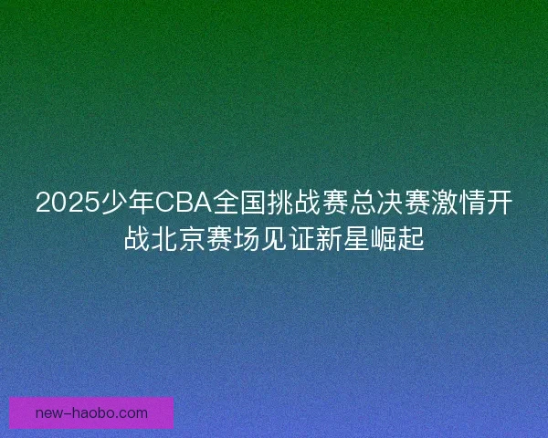 2025少年CBA全国挑战赛总决赛激情开战北京赛场见证新星崛起