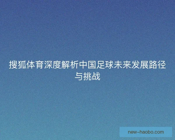 搜狐体育深度解析中国足球未来发展路径与挑战